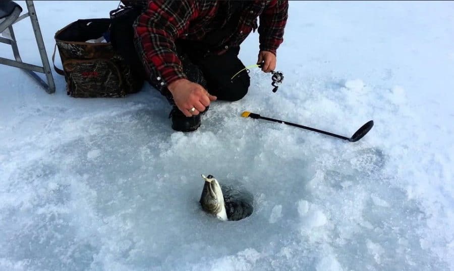 Made some Smelt tips for Ice fishing in Canada.